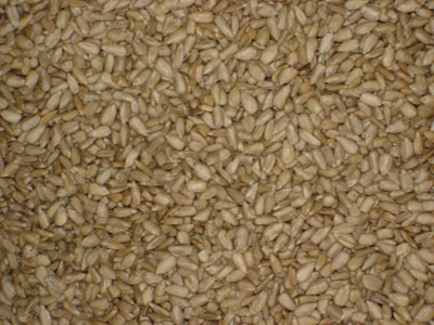 sunflower kernels