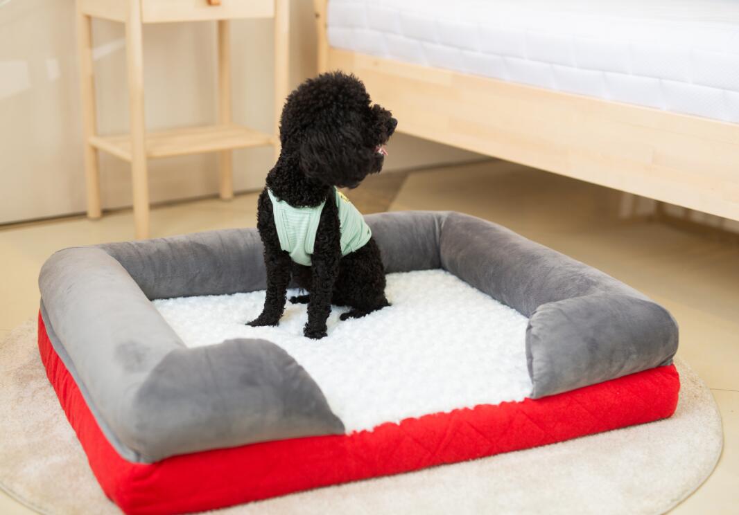 Bolster dog bed