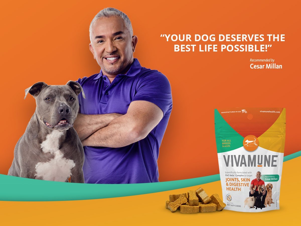 CesarMillan-Vivamune.jpg